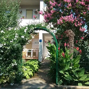 https://apartment-mirjana-fazana.pula-hotels.org